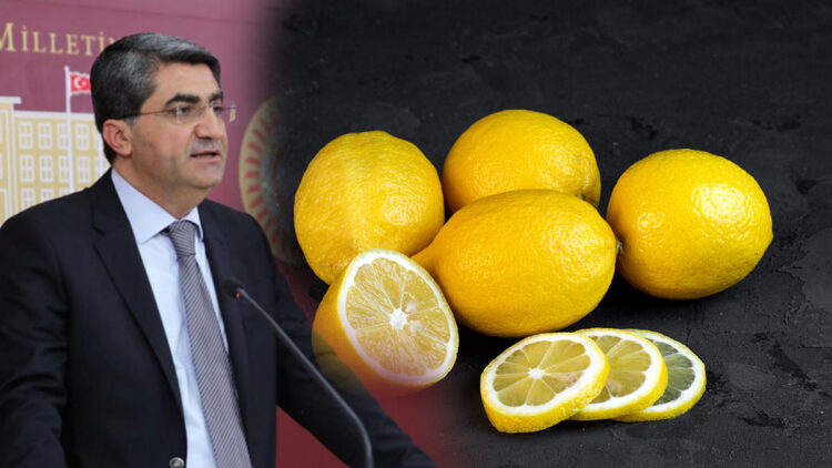 Limon politikalarındaki hatalar bugün ithalatı zorunlu hale getirdi
