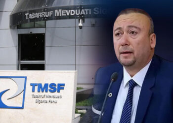 Özkan Yalım'a ait şirketlere TMSF kayyum olarak atandı