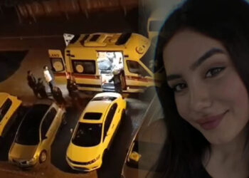 Aleyna'nın cinayet şüphelisinin ağabeyi de eski eşini öldürmüş