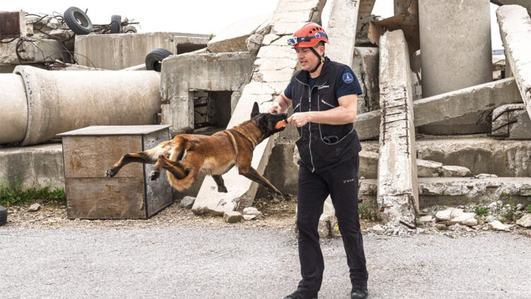 Barınaktan kahramanlığa; Momo enkaz için eğitiliyor