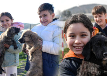 Doğa ve patili dostlar şifa dağıtıyor