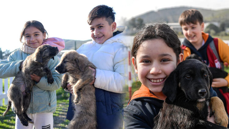 Doğa ve patili dostlar şifa dağıtıyor