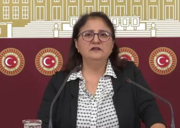 Gülistan Doku soruşturması için araştırma önergesi verildi
