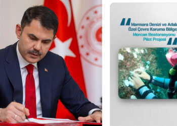 Doğayı mercanlarla onarıyoruz