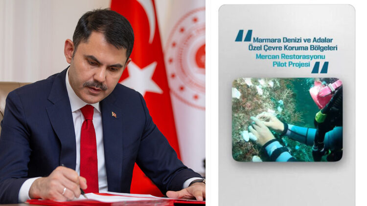 Doğayı mercanlarla onarıyoruz