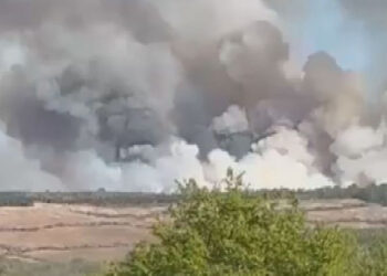 Beykoz’da ormanlık alanda yangın çıktı