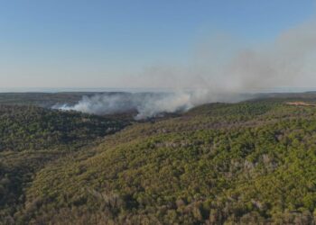 Beykoz’da ormanlık alanda yangın çıktı; 3 hektarlık alan zarar gördü