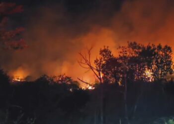 Beykoz’da ormanlık alanda yangın çıktı; 3 hektarlık alan zarar gördü