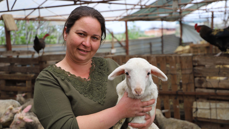 Babasının hediye ettiği kuzuyla çiftlik kurdu