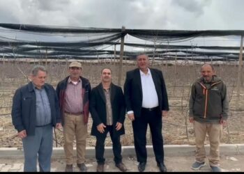 Zirai don korkutuyor; Artan maliyetler ve pazarlama sorunları üreticiyi zorluyor