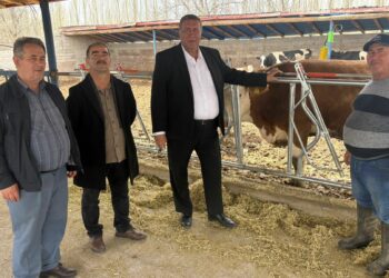 Artan maliyetler süt üreticisini bitiriyor