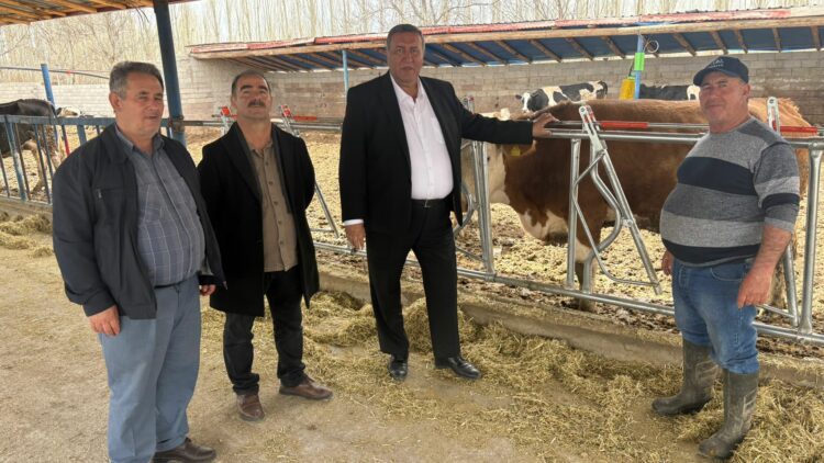 Artan maliyetler süt üreticisini bitiriyor
