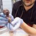 Aydın'ın Nazilli ilçesinde, sahibi tarafından veterinere getirilen 'Scottish' cinsi bir kedinin karnındaki çift başlı ölü yavru nedeniyle doğum yapmakta zorlandığı belirlenip, sezaryen yapıldı. Fotoğraf: Aydın,(DHA)