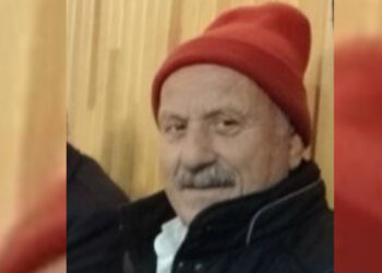 Kovana bakım yaparken boğazından arı soktu, öldü