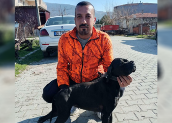 Kamyonuyla çamur dolu çukura düşen İZSU çalışanı öldü