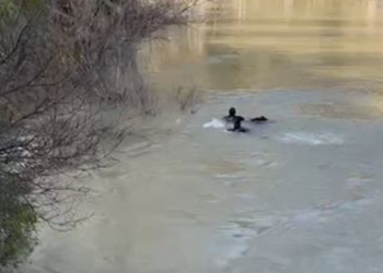 Munzur Nehri’nde kadın cesedi bulundu