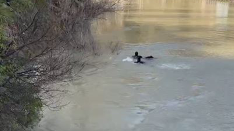 Munzur Nehri’nde kadın cesedi bulundu