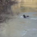 Munzur Nehri’nde kadın cesedi bulundu