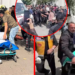 Şiddet artık okullara misafir olmamalı