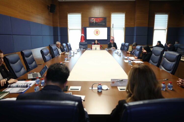 TBMM Dilekçe Komisyonu Türkiye'de Finansal Okuryazarlığın Yaygınlaştırılması ve Düzeyinin Artırılması Alt Komisyonu toplandı. Fotoğraf:Ankara,(DHA)