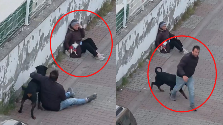 Küçük köpeğe saldıran Rottweiler’ın sahibi gözaltına alındı