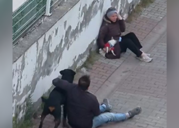 Ümraniye’de ağızlıksız gezdirilen rottweiler, küçük ırk köpeğe saldırdı