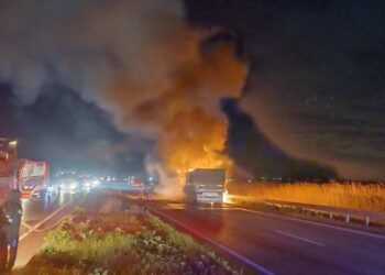 Bursa'da buğday yüklü TIR alev alev yandı