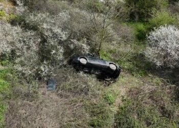 Eyüpsultan'da otomobil ormanlık alana uçtu; sürücü araçta sıkıştı