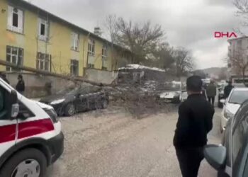 Hastane bahçesinde kesilen ağaç yoldan geçenlerin üzerine devrildi: 3 yaralı