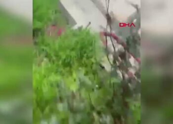 Mardin'de müstakil evde yangın