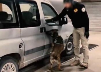 Direksiyon aksamına zulalanmış 762 gram skunk ele geçirildi