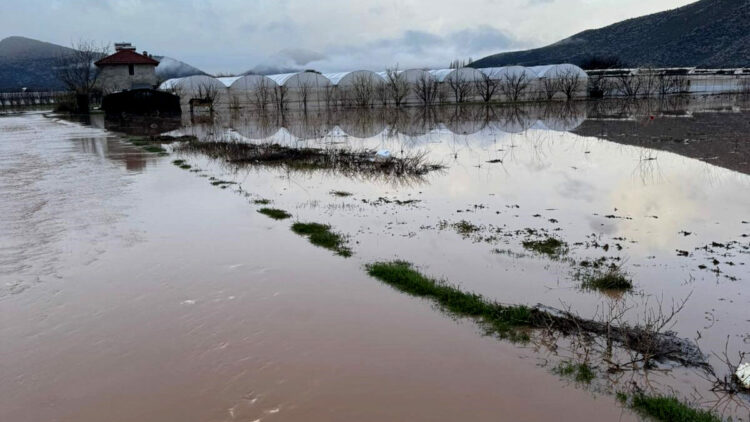 Antalya'da sağanak; dereler taştı, tarım alanlarını su altında kaldı