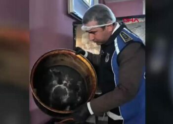 Zabıta denetiminde çürük sebze ortaya çıktı