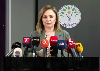 DEM Parti'li Doğan: Tartışmaları siyasal zemin üzerinden yürütmek daha doğru olur