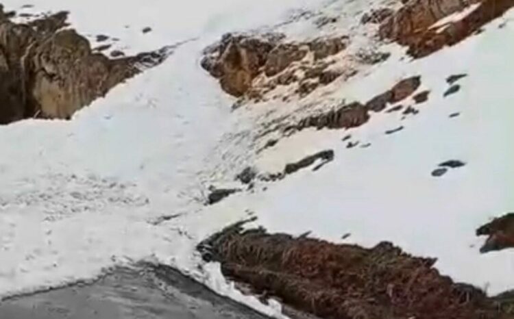 Şırnak’ta çığ düşen kara yolu ulaşıma kapandı
