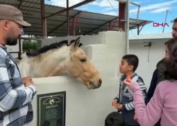 Otizm Farkındalık Günü’nde özel çocuklara at terapi desteği verildi