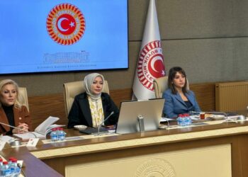 Kamu Denetçisi Benli: Cinayete maruz kalan kadınların yüzde 88'inin koruma kararı yok