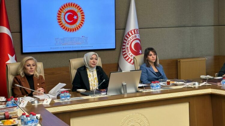 Kamu Denetçisi Benli: Cinayete maruz kalan kadınların yüzde 88'inin koruma kararı yok