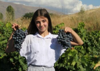 Erzincan tulum peyniri ve Cimin üzümü 'Slow Food Ark of Taste' listesine alındı