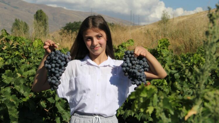 Erzincan tulum peyniri ve Cimin üzümü 'Slow Food Ark of Taste' listesine alındı