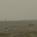 Doğu Akdeniz'de çöl tozu etkili oldu