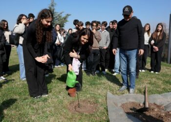 Yürüyen Köşk'ün simgesi olan çınardan elde edilen fide, Anıtkabir'de toprakla buluştu
