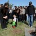 Yürüyen Köşk'ün simgesi olan çınardan elde edilen fide, Anıtkabir'de toprakla buluştu
