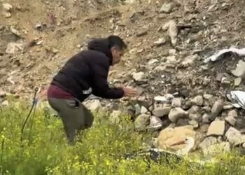 Göç yolundaki leylek tüfekle vuruldu