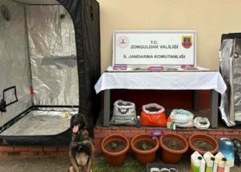 Zonguldak’ta uyuşturucu operasyonu; 8 tutuklama