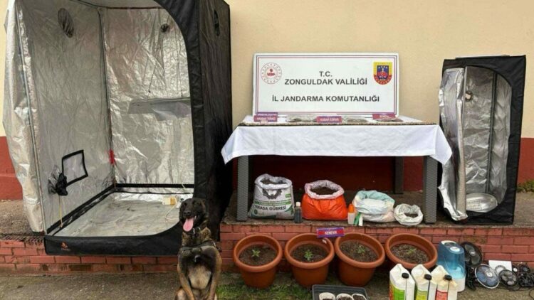Zonguldak’ta uyuşturucu operasyonu; 8 tutuklama