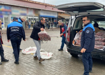 Ordu’da 200 kilo kaçak ete el konuldu
