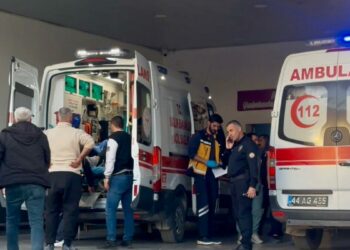 Bıçaklı kavgada 2 kardeş yaralandı