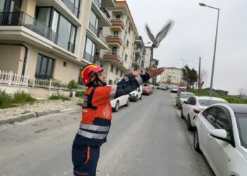 Avcılar'da havalandırma boşluğuna düşen güvercin ve martıyı itfaiye kurtardı