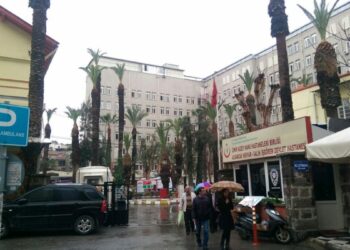 oğul birer gün arayla kalp krizinden öldü